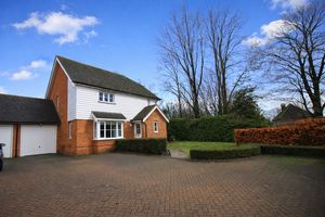 Photo 1- click for photo gallery